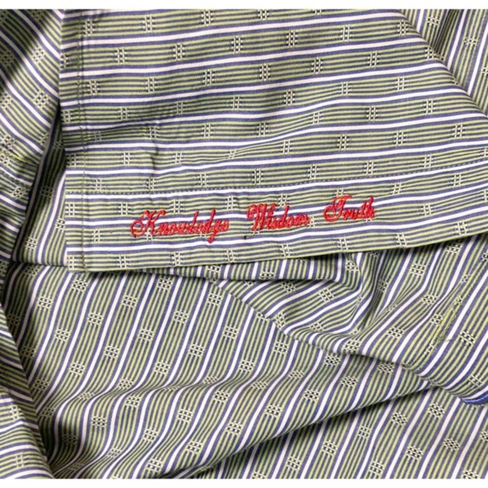 Robert Graham Mens L Green Blue Striped Dobby Long Sleeve Button Down Shirt - Picture 5 of 8